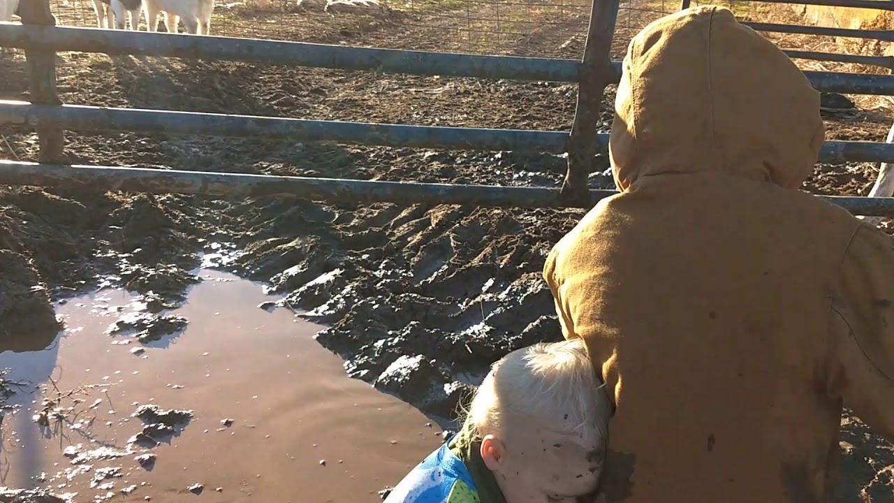 muddy boys
