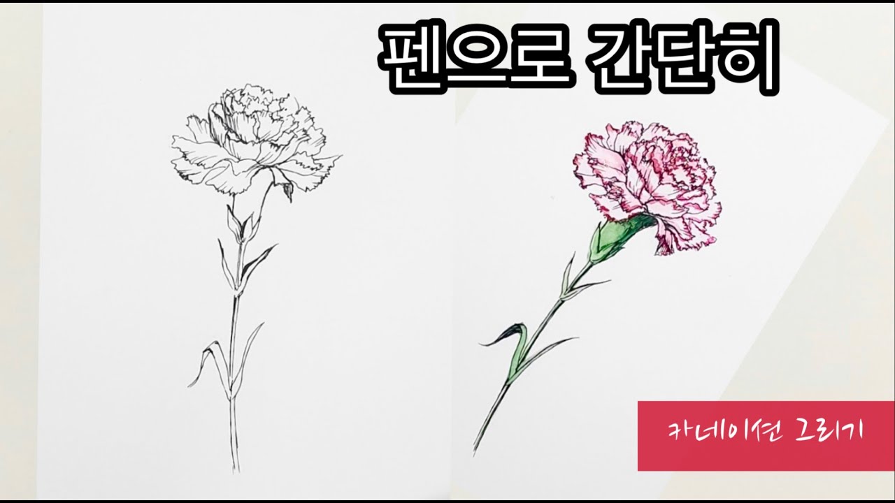 펜으로 간단히 카네이션 그리기 /How to draw a carnation with pen /어버이날