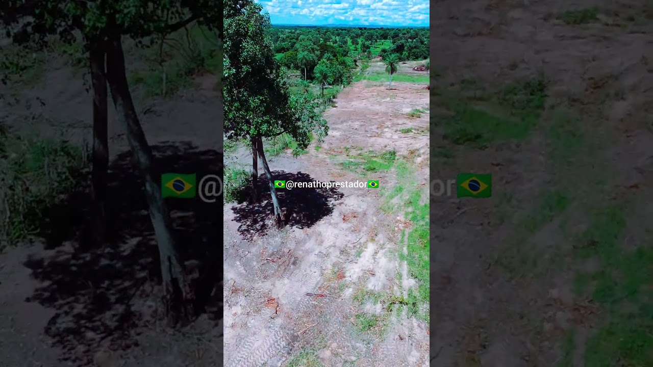 Limpeza de pasto, pecuária ( Estado- MS)