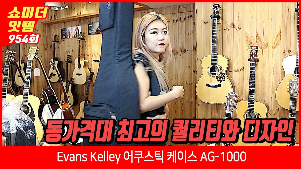 Show me the ITEM 954회 Evans Kelley 일렉케이스 AG-1000 (어쿠스틱용)