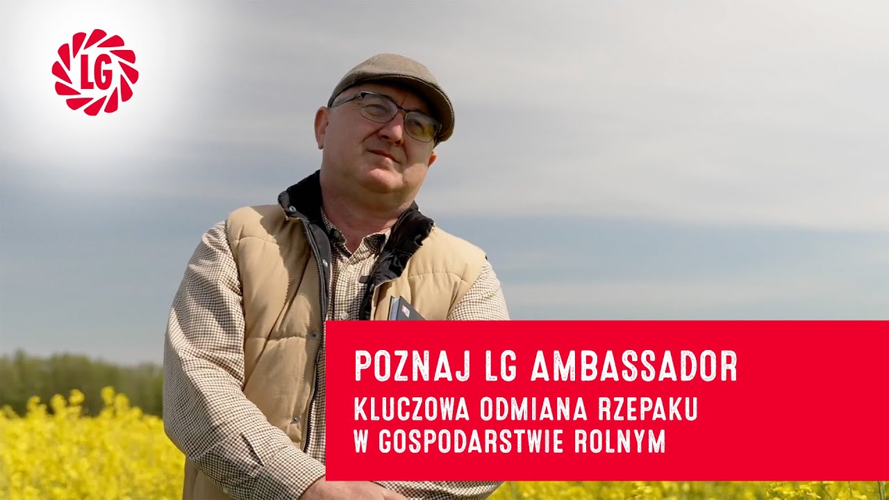 Poznaj LG Ambassador - Kluczowa odmiana rzepaku w gospodarstwie rolnym