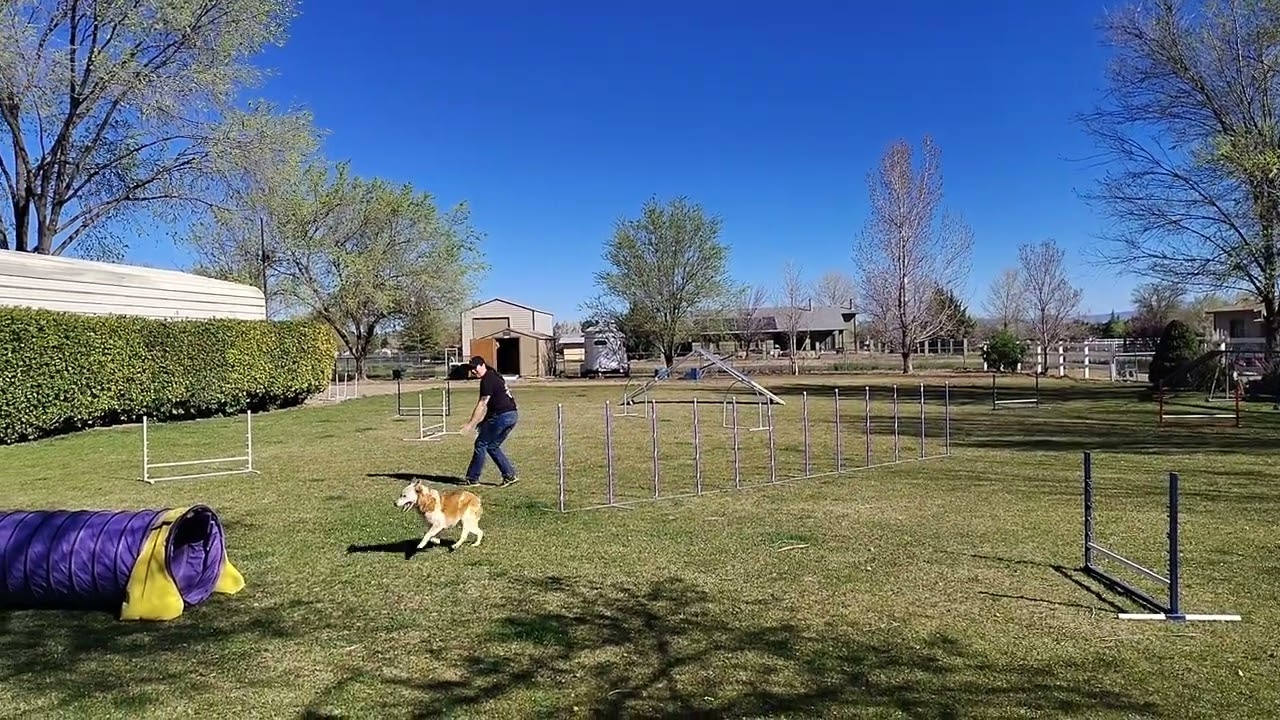 Maggie Winter Team Series round 6