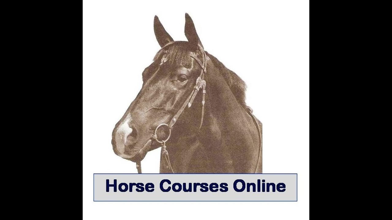 Horse Courses Online