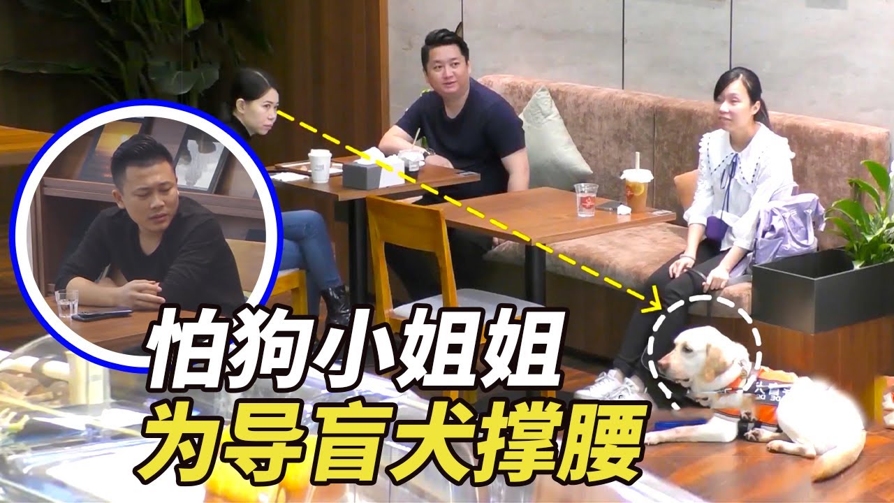 人间观察| 导盲犬进餐厅被驱赶,怕狗小姐姐为视障群体撑腰