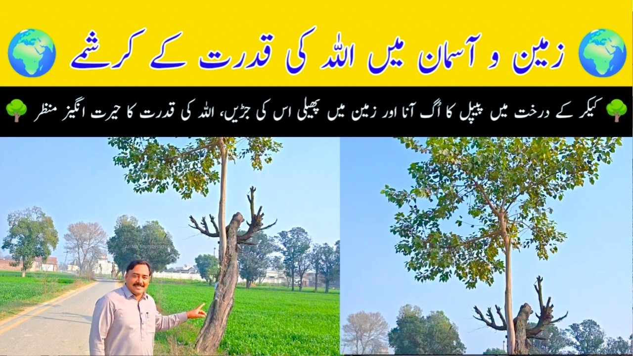 Zameen o Aasman Mein Allah Ki Qudrat Ke Karishmay | Village Kotli Bare  Khan