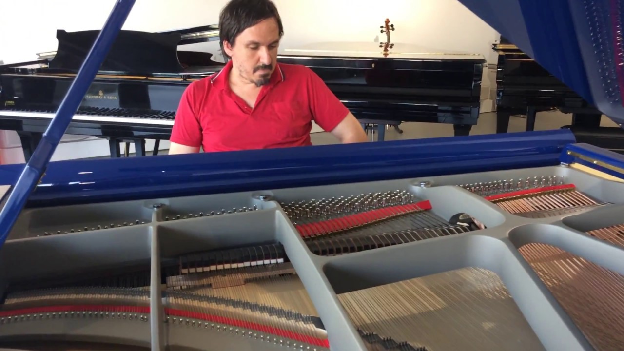 Pianoforte: Zanta ZB200 - Pianista: Paolo Lazzarini