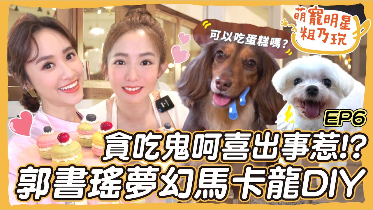 [SUB] EP6 郭書瑤 圓圓 粗乃玩啦！ Sandy 挑戰夢幻馬卡龍DIY 再度逼瘋老師！ 呵喜 驚爆緊急狀況送醫院？！【 萌寵明星粗乃玩 】瑤到貓空喝茶去