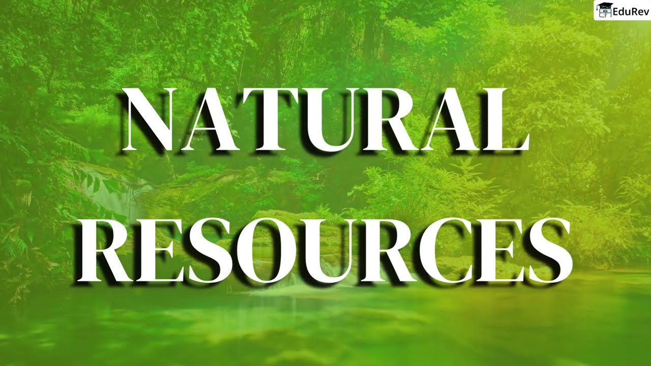 🌍 Natural Resources and Their Use | Class 8 Social Science | New NCERT