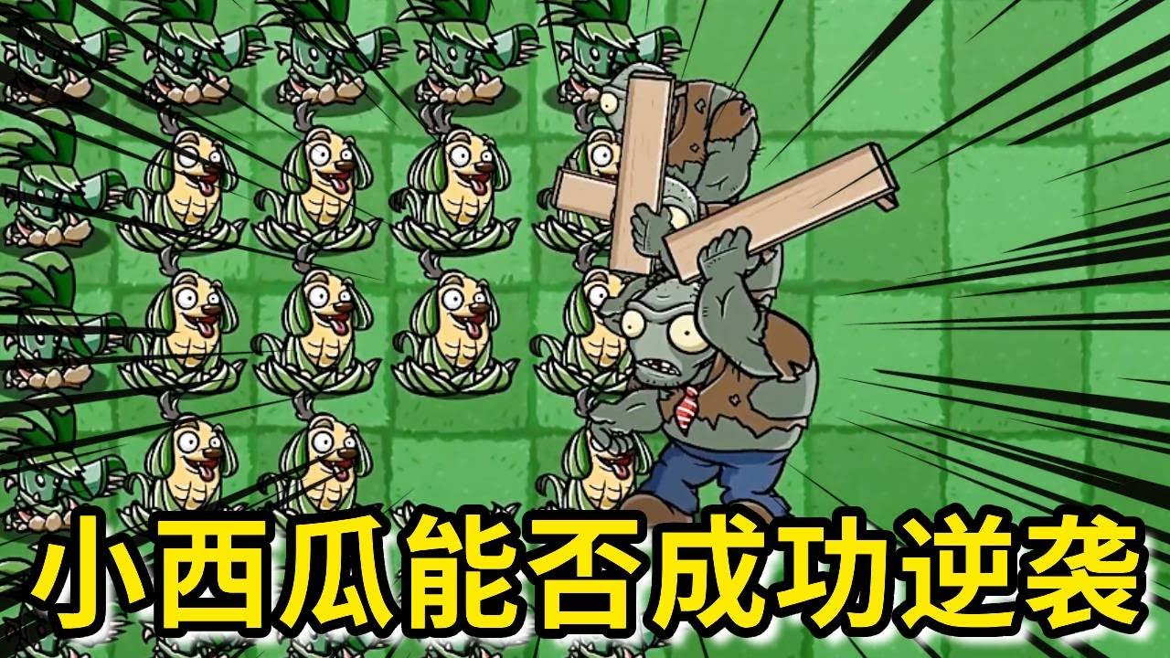 【植物大战僵尸】投手家族中最弱小的小西瓜，每天都认真努力，他的坚持打动了坦克豌豆，是否能成功拿到仙豆变强呢？