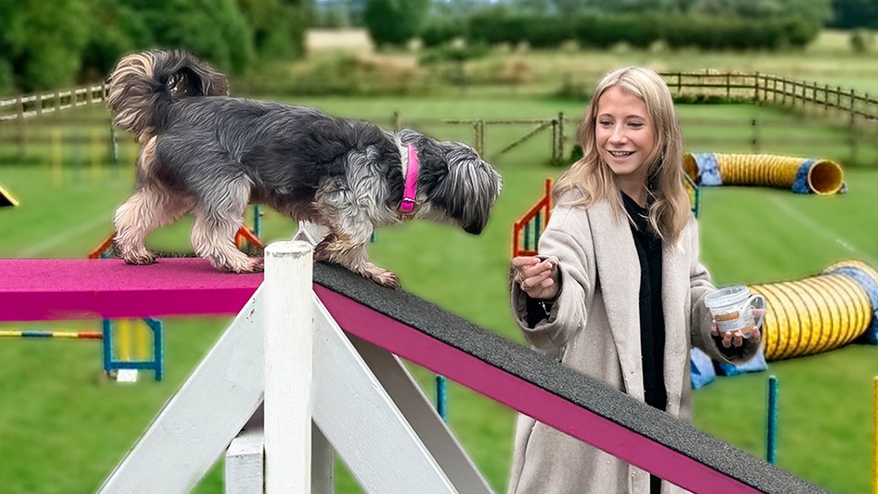 Vi pr&oslash;ver hundetr&aelig;ning for f&oslash;rste gang!