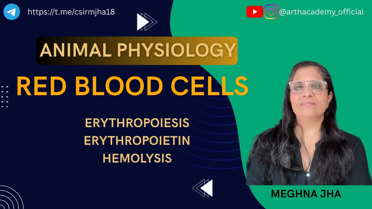 All about Red Blood Cells| Animal Physiology Made Easy (Most Demanded Topic) | Meghna Jha