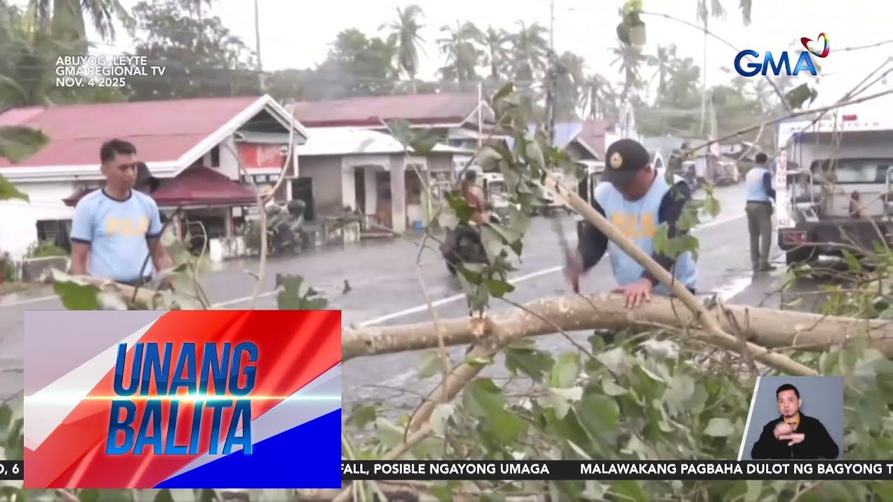 Ilang puno at poste ng kuryente sa Abuyog, Leyte, bumagsak dahil sa Bagyong... | Unang Balita