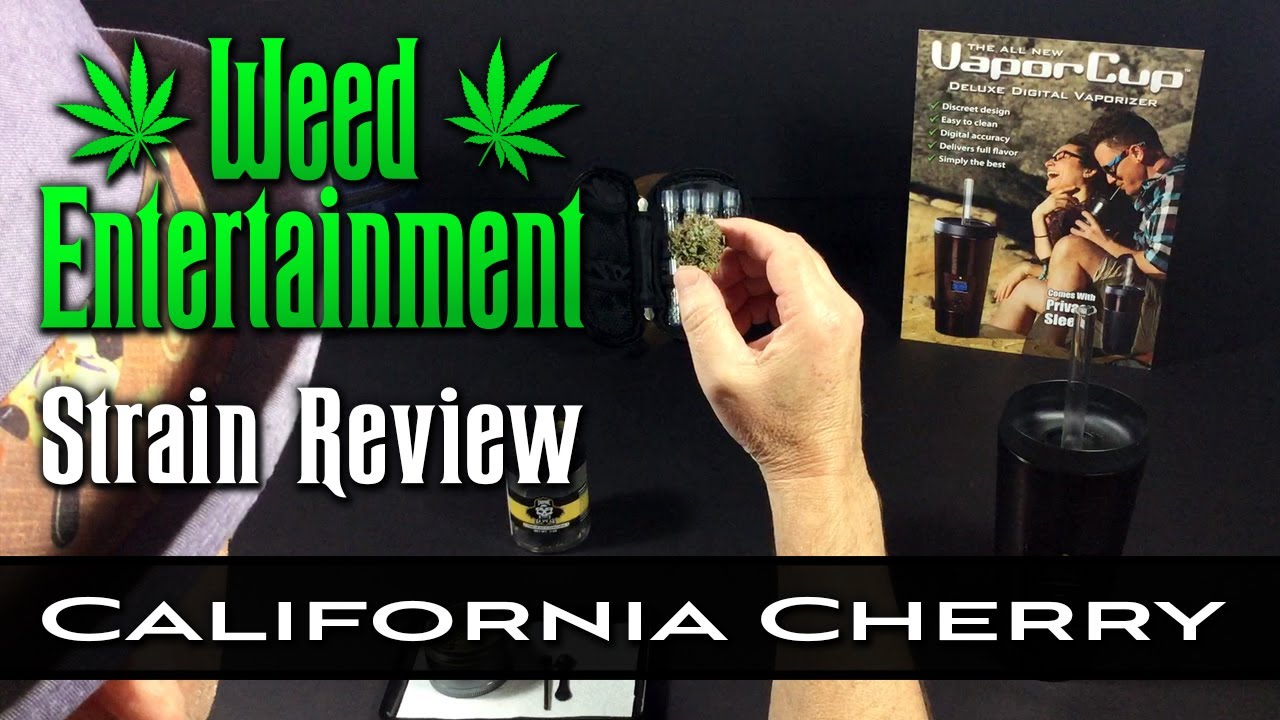 California Cherry -  Indica Hybrid - by Insane Cannabis - Strain Review - Dr GreenThumb's, Sylmar Ca