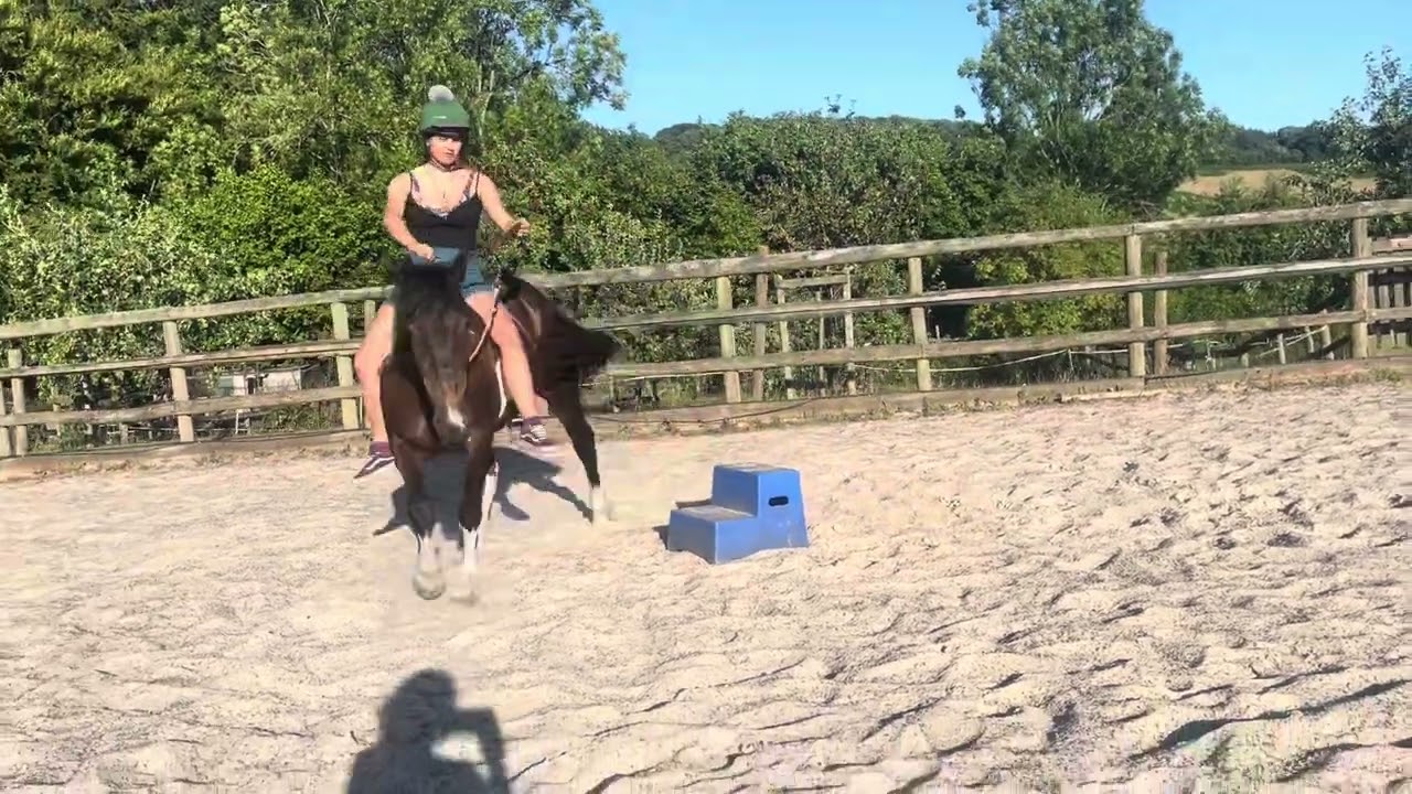 Fidget & Hazel Equiagility 2025