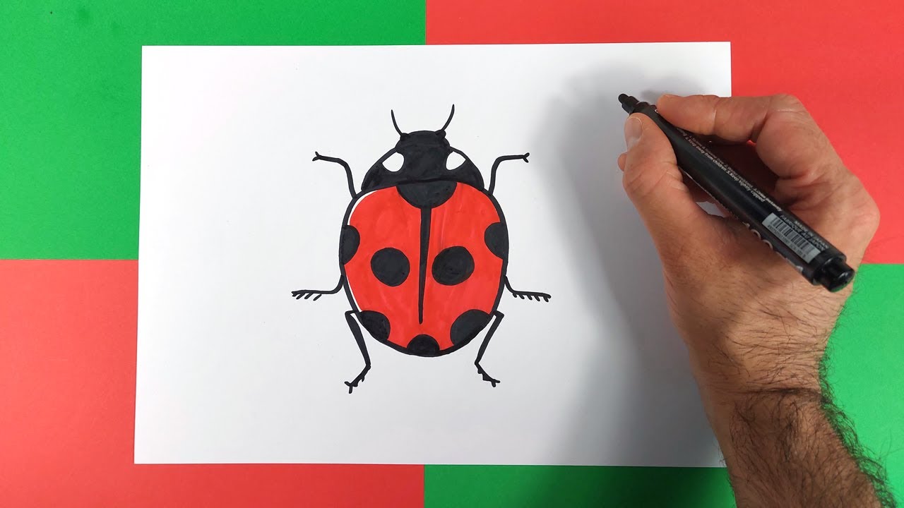 Comment dessiner une coccinelle ?
