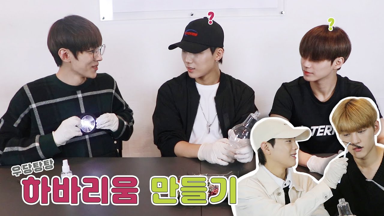 [DONGKIZ(동키즈)] 정글🌴vs 고사리🌿 | 우당탕탕 하바리움 만들기