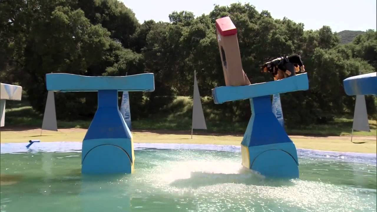 Daycare Duo! - Wipeout
