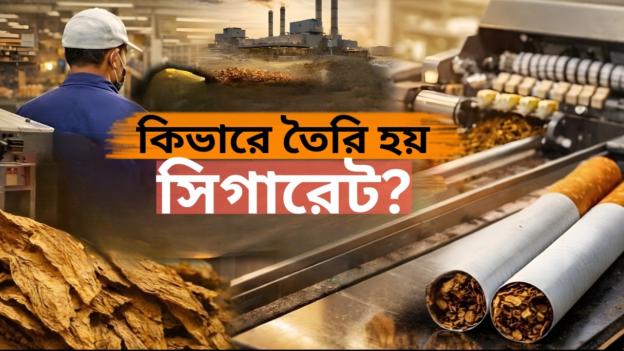 ফ্যাক্টরিতে কিভাবে দামি সিগারেট তৈরি করা হয়? Cigarette Factory Documentary / Tobacco factory Bangla
