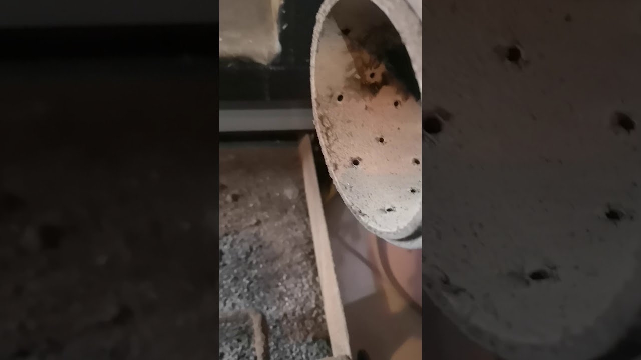 Czysczenie kotła Lumo bio max cz.2