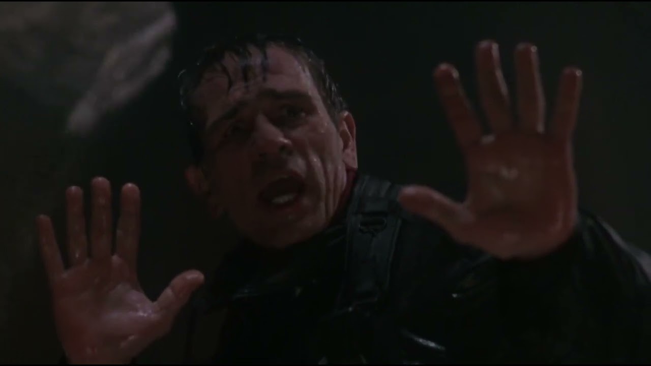 The Fugitive 1993 