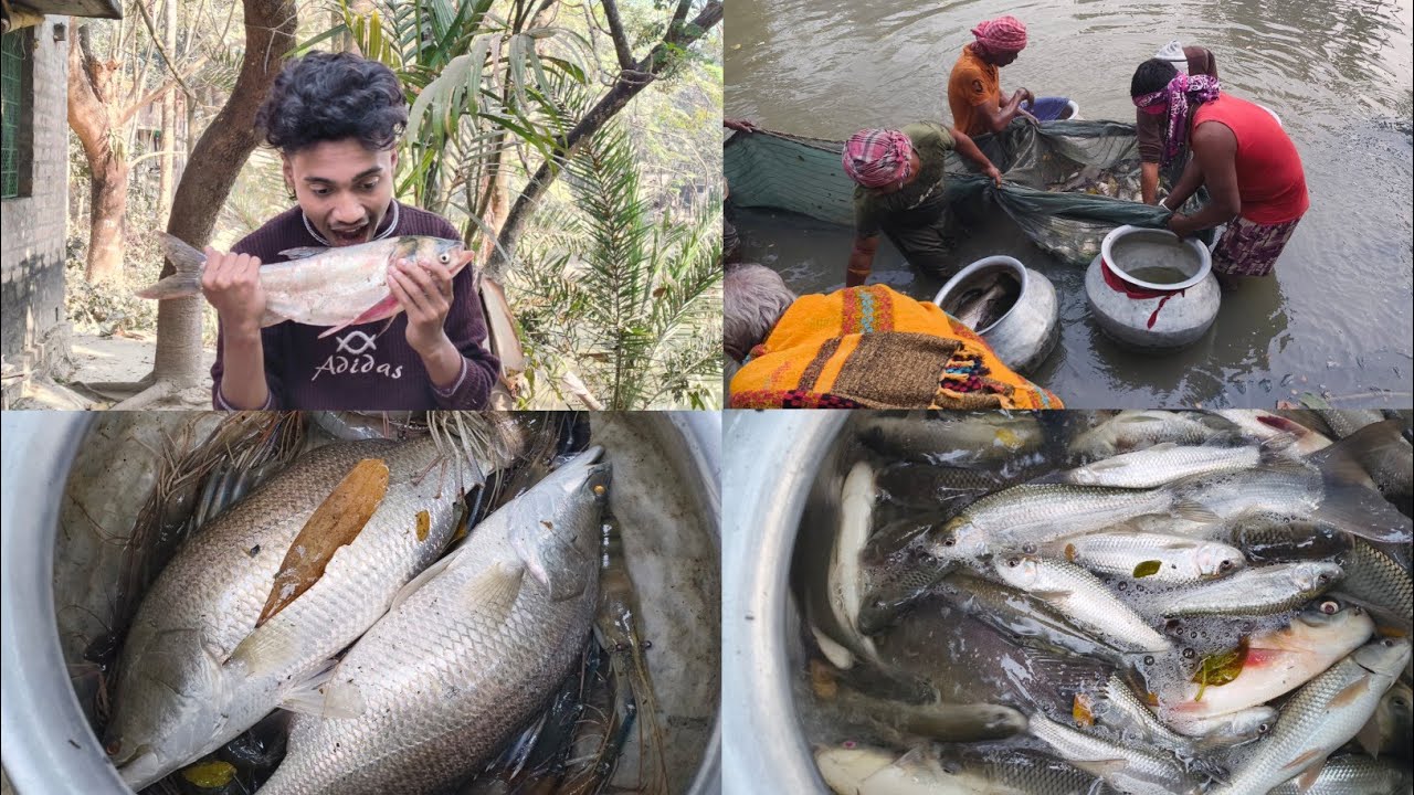 আজকে আমাদের পুকুরে মাছ ধরা হয়েছে সেই মাছগুলো নিয়ে বাজারে গেছিলাম বিক্রি করতে | vlog by janu monu |