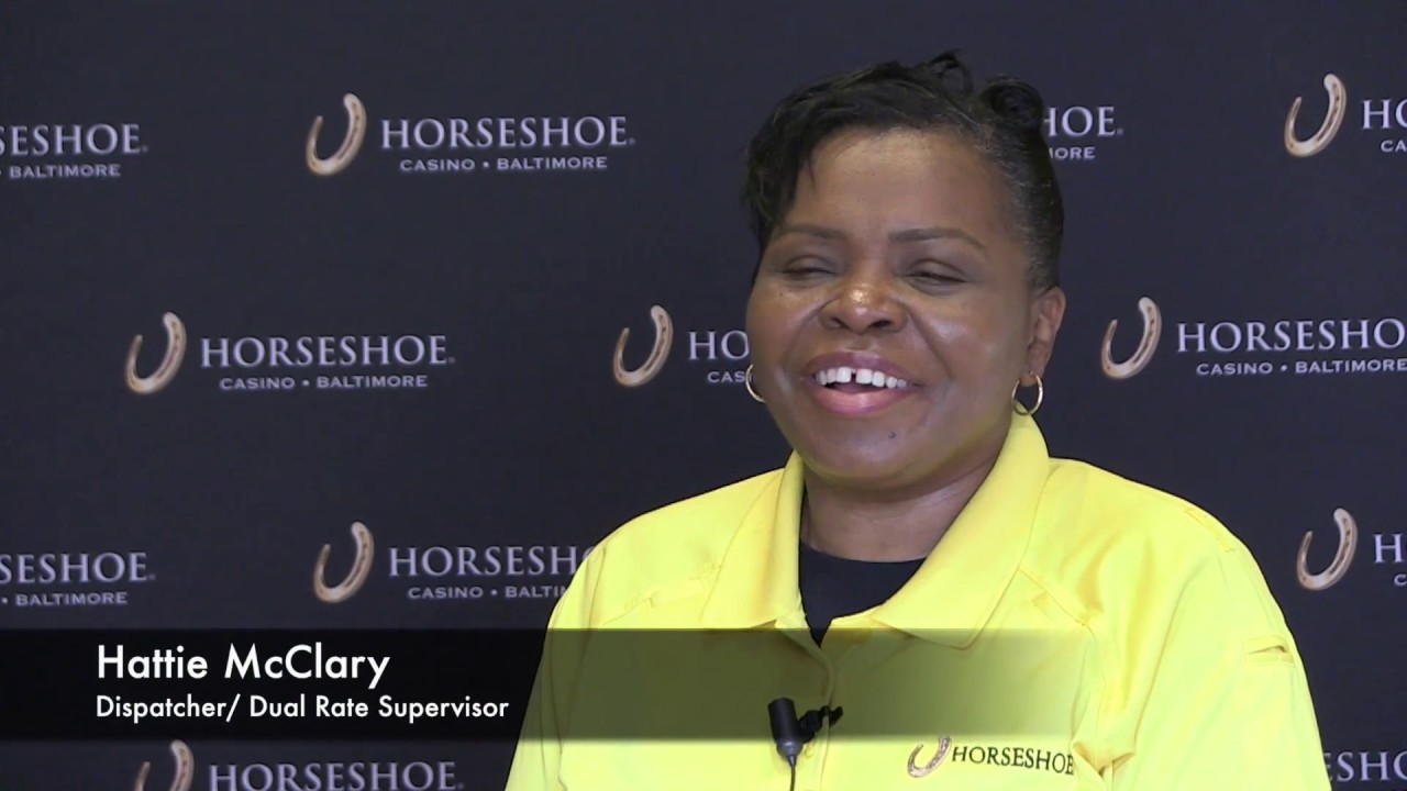 Day in the Life of a Horseshoe Security Ambassador