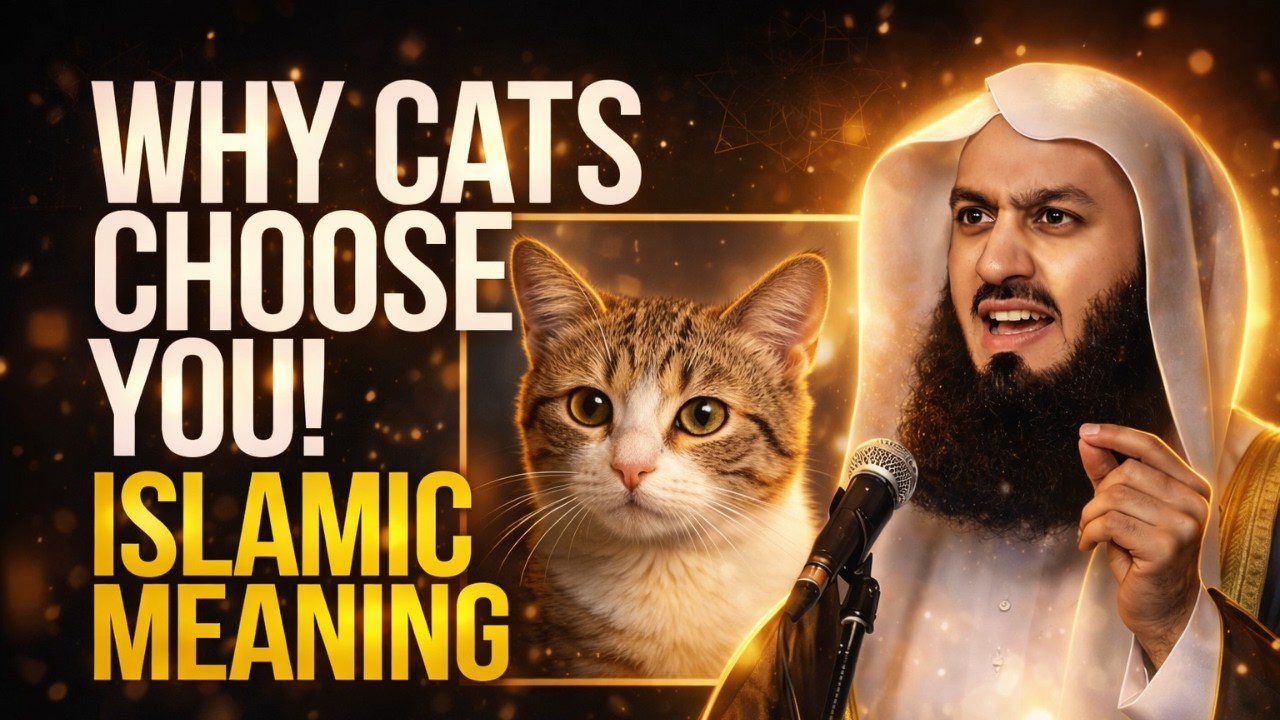 Why Cats Choose You? 🐱 Islamic Meaning Explained by Mufti Menk