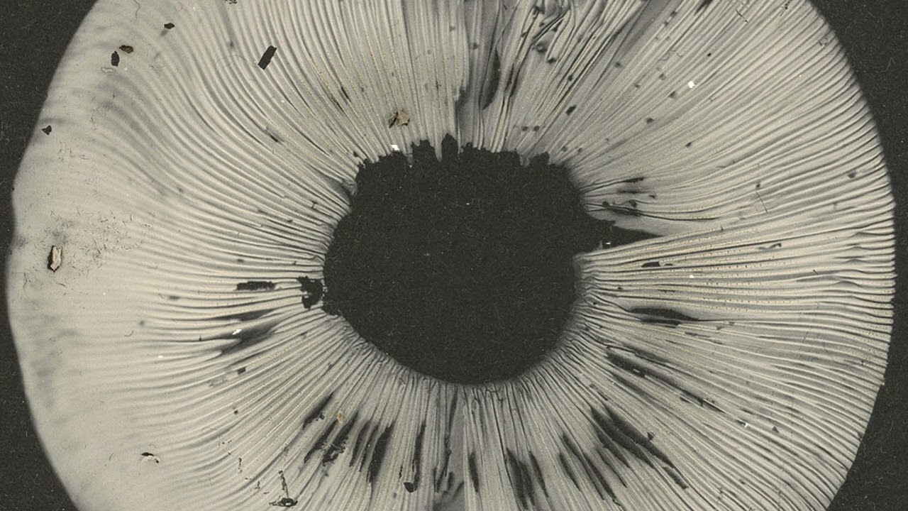 CYCLES II - Cyclic Law's 20th Anniversary Label Sampler - Full Album