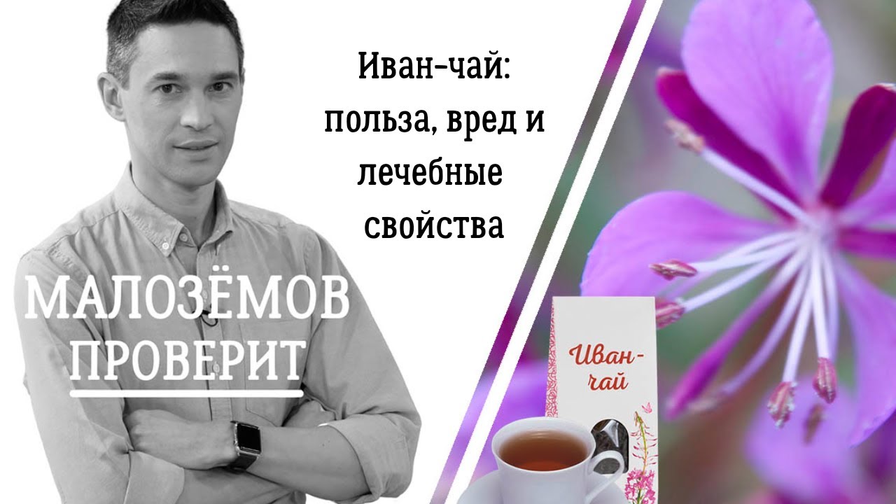 Иван-чай: так ли полезен традиционный русский напиток?