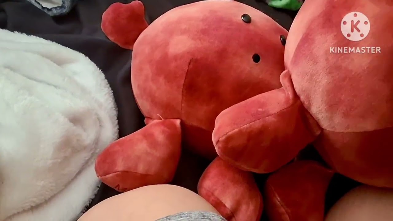 Celestial Buddies Review