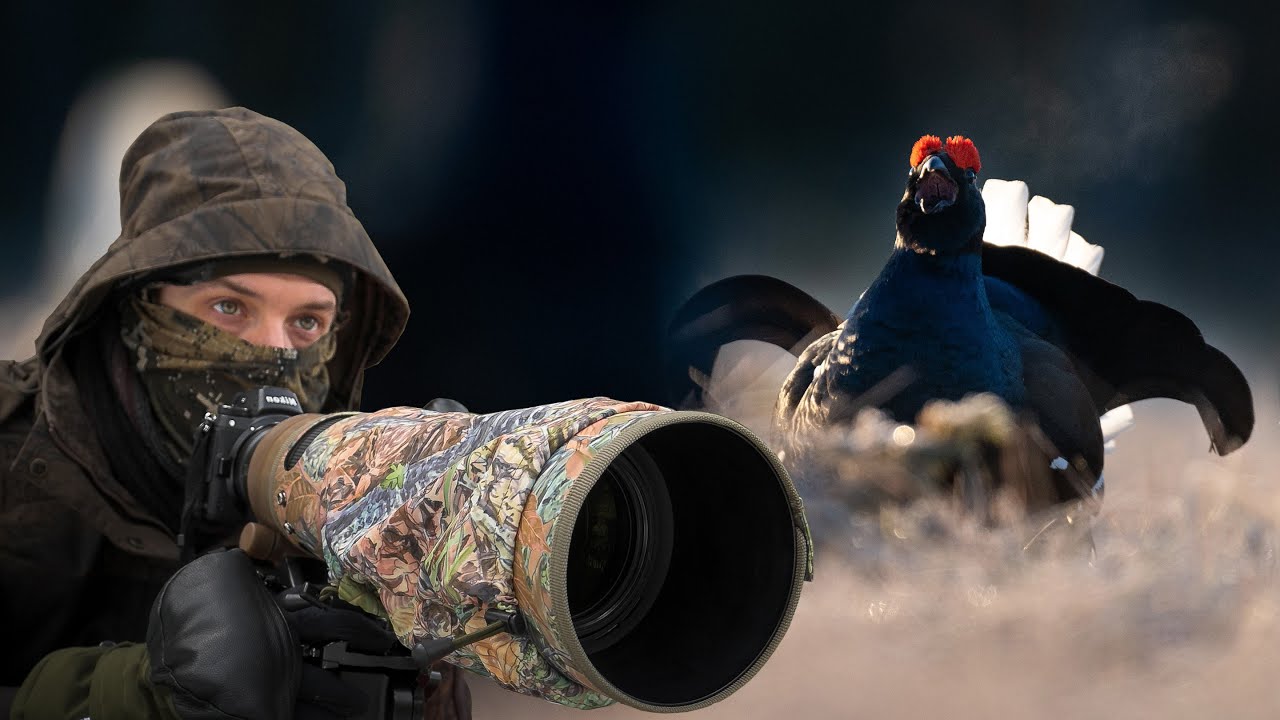 A Whole Night In A WILDLIFE HIDE: The Black Grouse