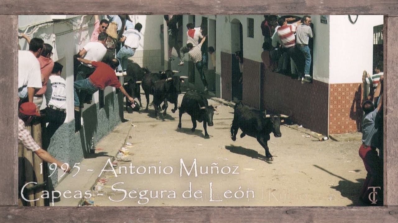 Capeas Segura de León 1995. Antonio Muñoz. El Rubio - Entrada #shorts