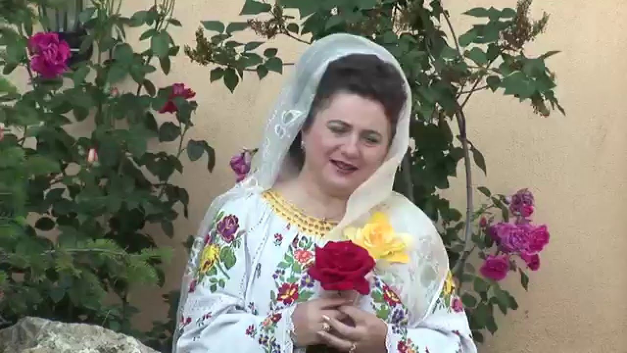 COLAJ 2. PAULINA IRIMIA MORARITA. SARBE.