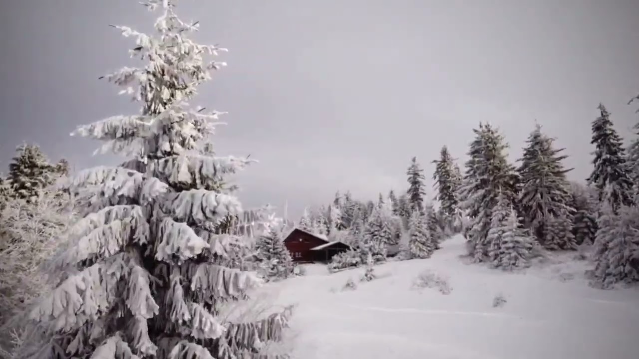 Beskidy, Jan 2026