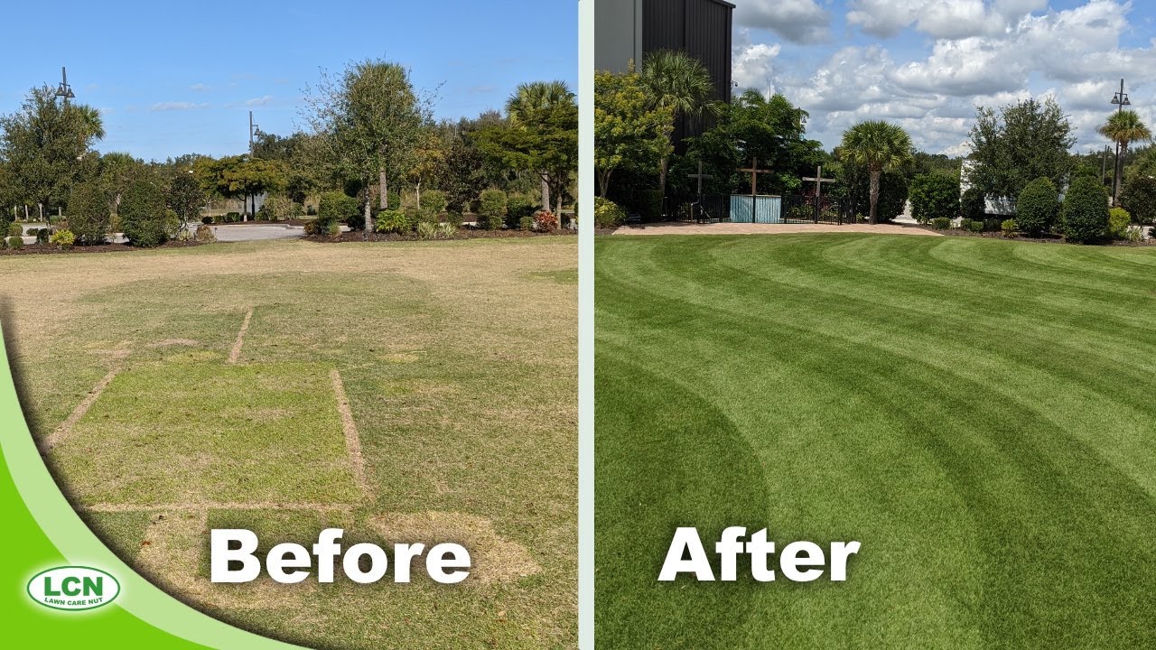 Fixing An Ugly Zoysia Lawn