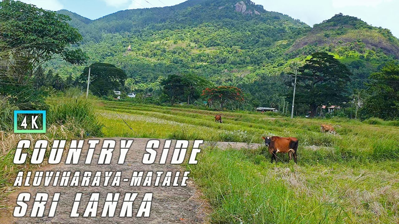 Sri Lanka  walk | Aluviharaya - Matale  | 4K Sri Lanka