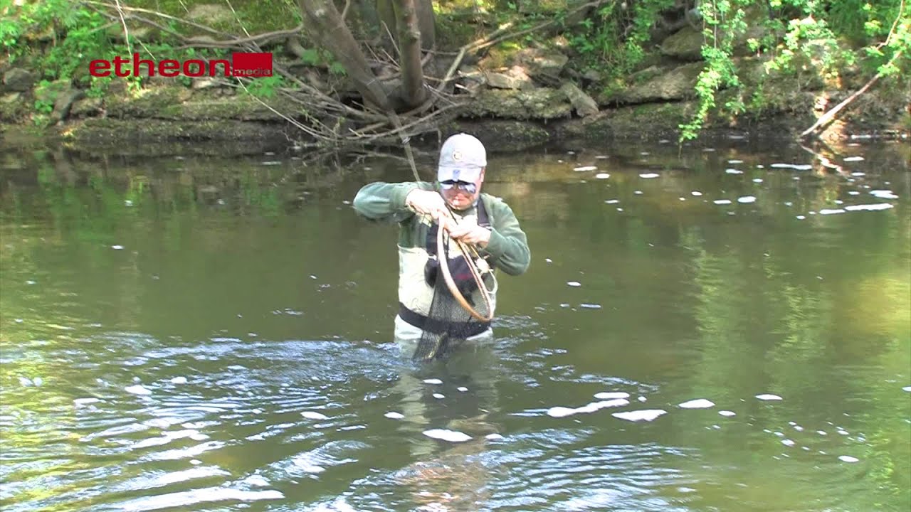 Fliegenfischen für Einsteiger - Nymphenfischen - von etheonTV