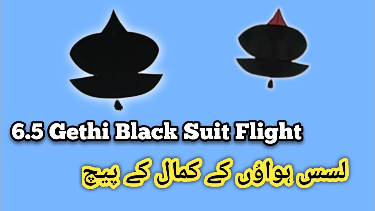 Morning Nice Paich | Biggest Patang Flight | Lush Hawa | Cross Paich | Patang Fighting | Kite Flying