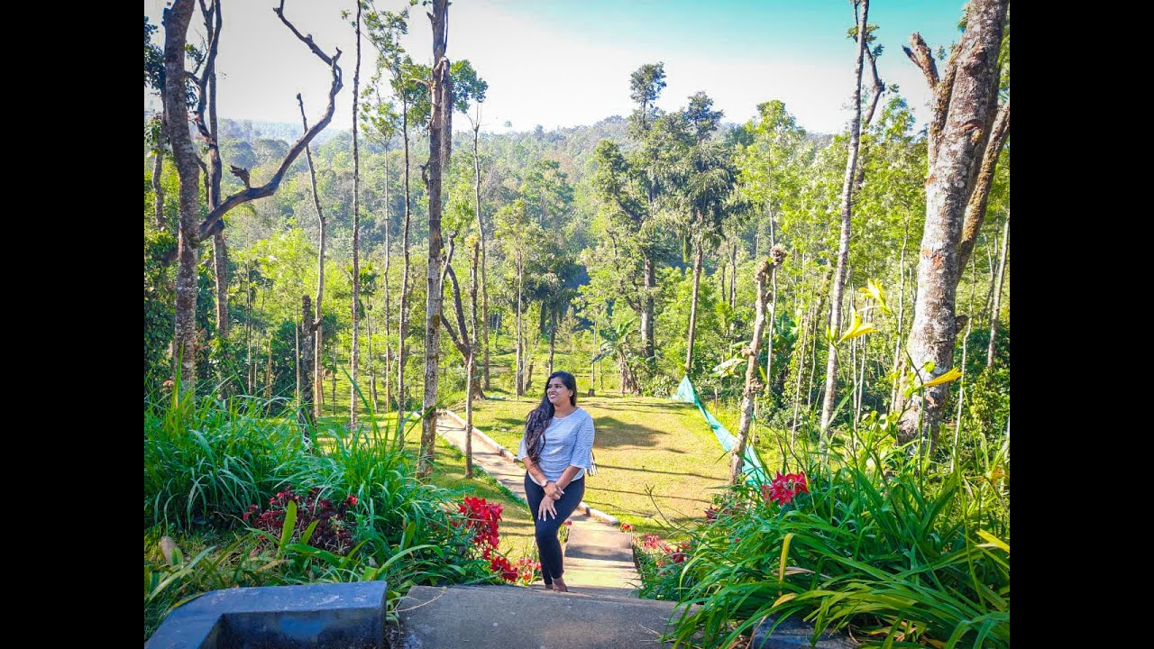 Weekend getaway to Chikmagalur || Amazing Homestay || Chikmagalur- Belur- Halebeedu || 4k Video ||