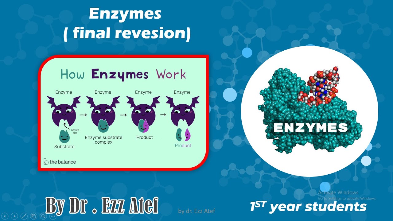 biochemistry - 1st year - Enzymes  final Revision