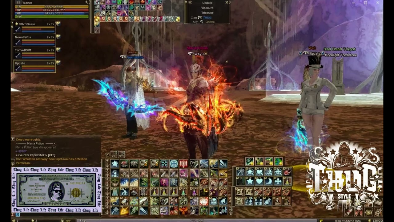 L2 AMERIKA THUG CLAN PVP ZONE LONG RANGE KILLERS