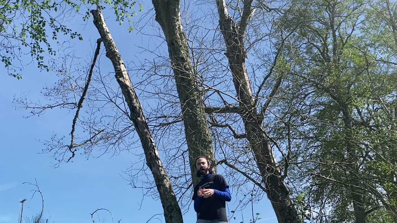 Checking in with GeerCrest Ep 5: Cavity Nesting Birds