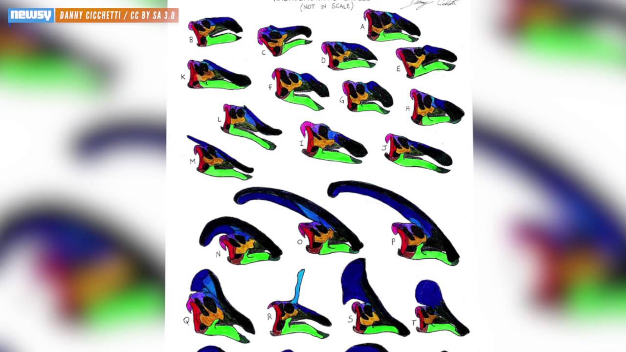 Dinosaur With Mysteriously Large Nose Discovered In Utah