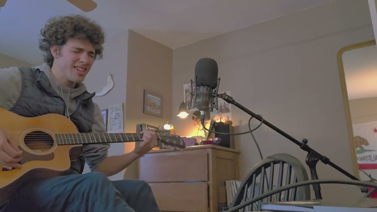 Blackbird by The Beatles : Cover by Matt Meyer