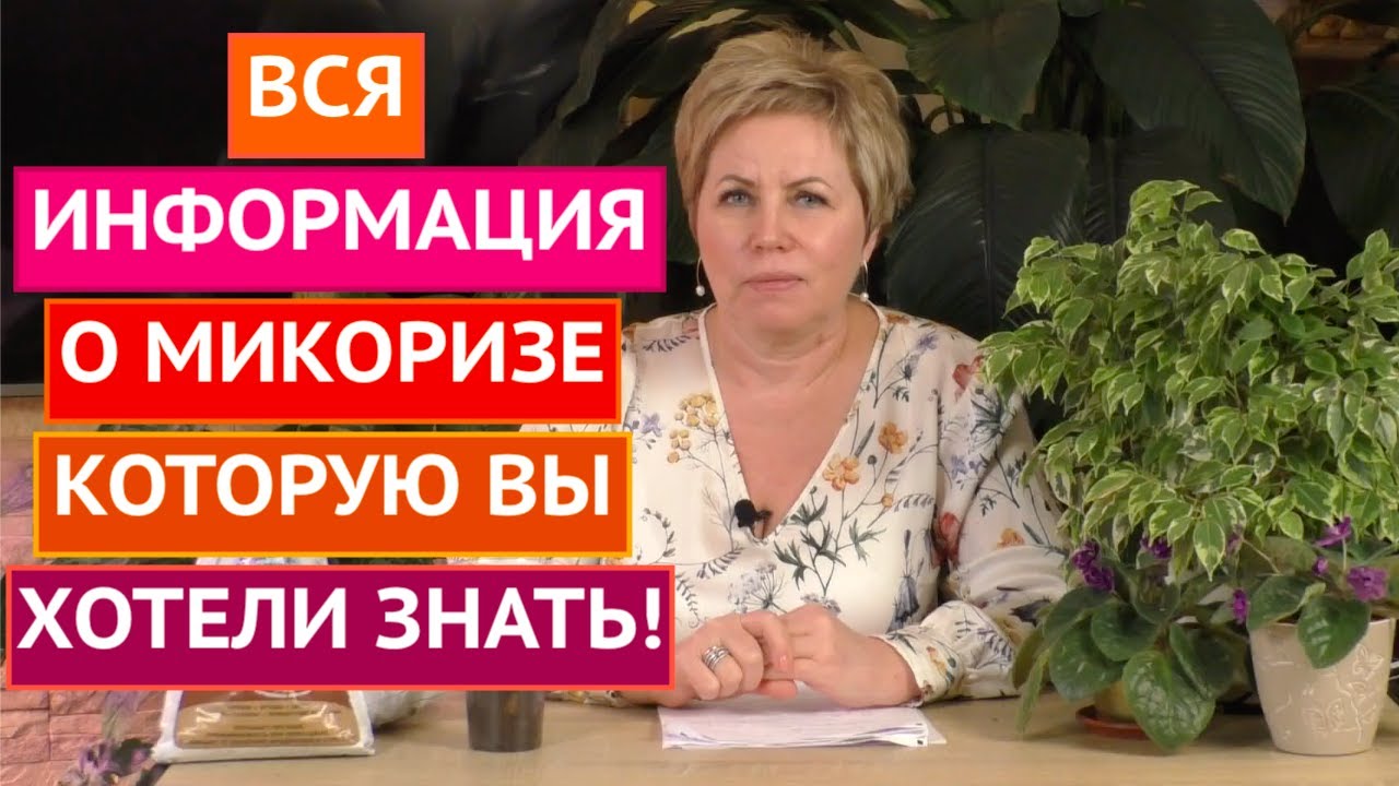 УДИВИТЕЛЬНАЯ МИКОРИЗА! ПРАВИЛА ИСПОЛЬЗОВАНИЯ И ОТВЕТЫ НА ВСЕ ВАШИ ВОПРОСЫ!