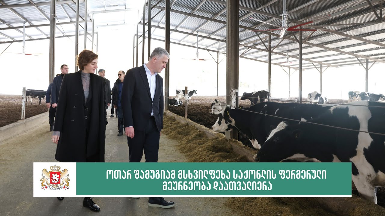 ოთარ შამუგიამ მსხვილფეხა საქონლის ფერმერული მეურნეობა დაათვალიერა