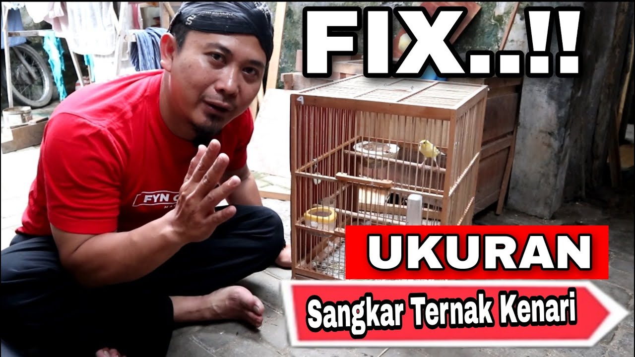 Ukuran Sangkar Ternak Kenari Yang Paling Ideal