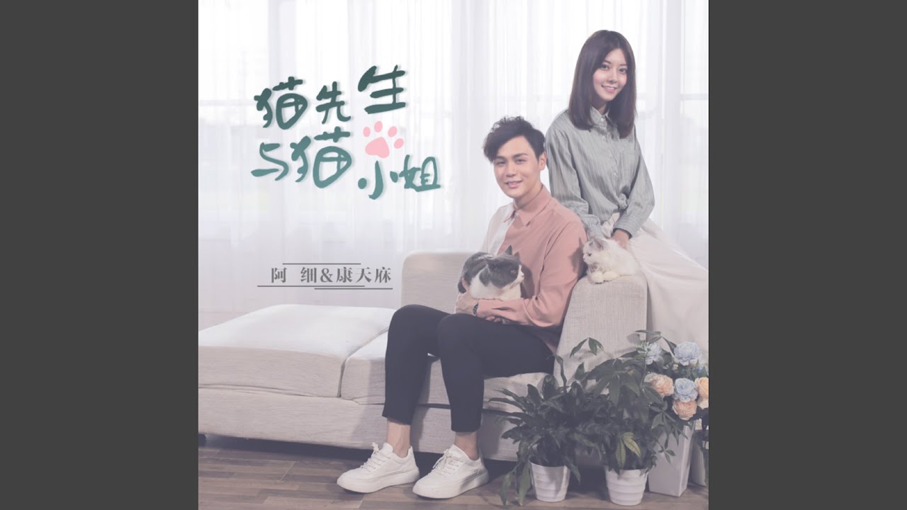 猫先生与猫小姐