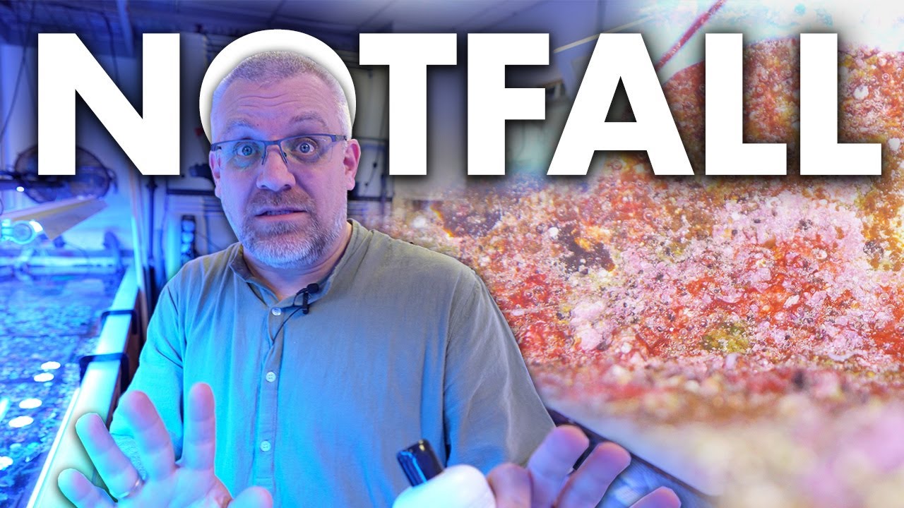 Wenn dein AQUARIUM einen NOTFALL hat!