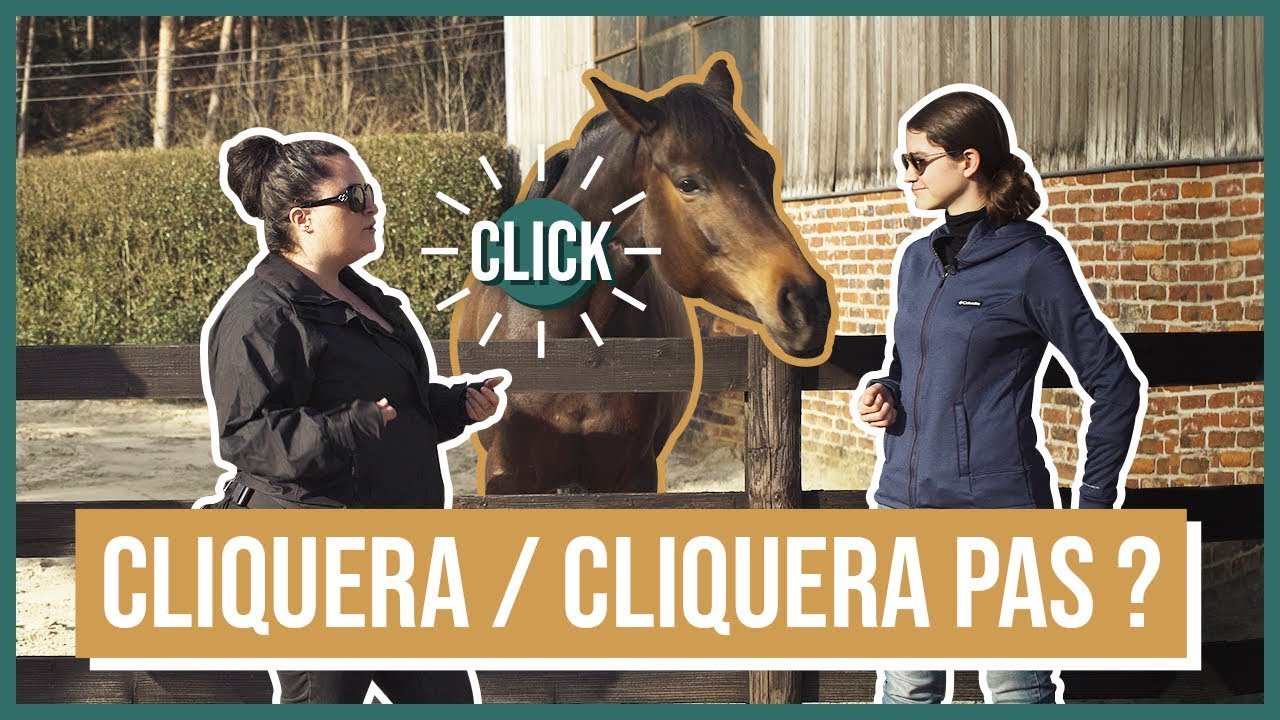 Elles découvrent le clicker training !